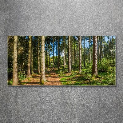 Wall art acrylic Panorama of the forest