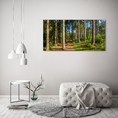 Wall art acrylic Panorama of the forest