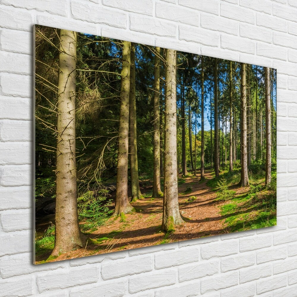 Wall art acrylic Panorama of the forest