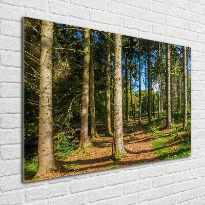 Wall art acrylic Panorama of the forest