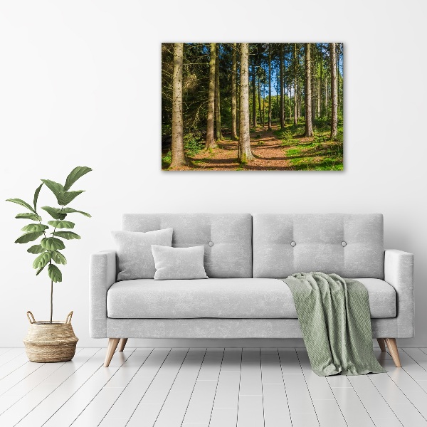 Wall art acrylic Panorama of the forest