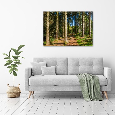 Wall art acrylic Panorama of the forest