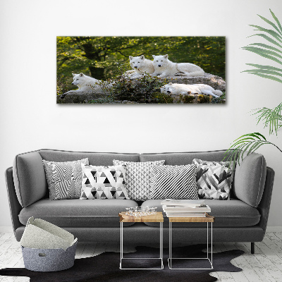 Wall art acrylic White wolves rock