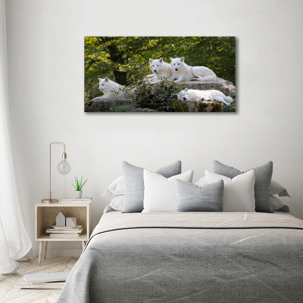 Wall art acrylic White wolves rock