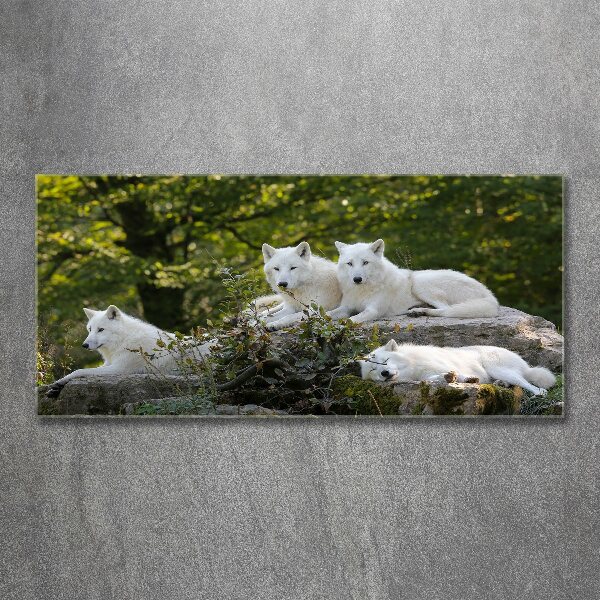 Wall art acrylic White wolves rock