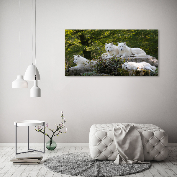 Wall art acrylic White wolves rock