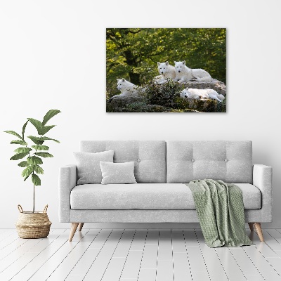 Wall art acrylic White wolves rock