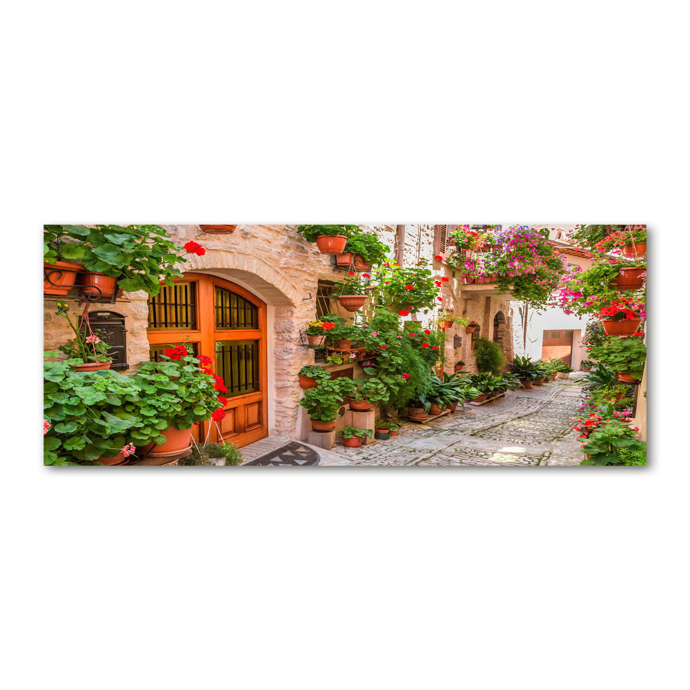 Acrylic wall art Charming street