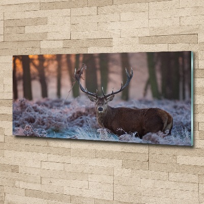 Acrylic wall art Deer about the east