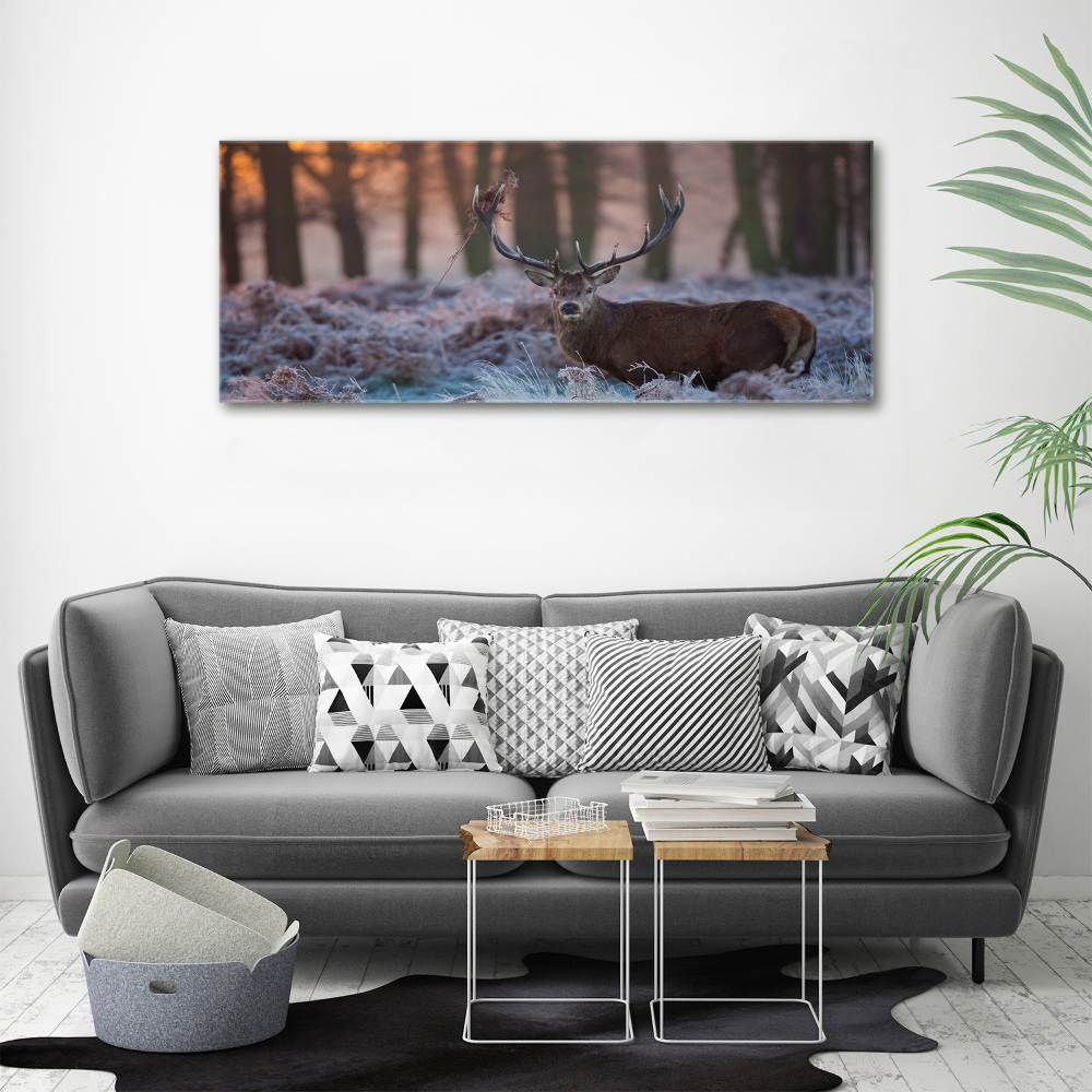 Acrylic wall art Deer about the east