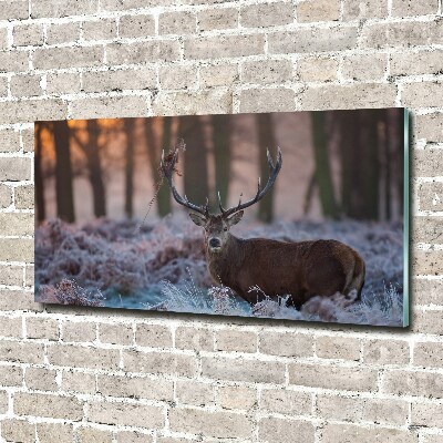 Acrylic wall art Deer about the east