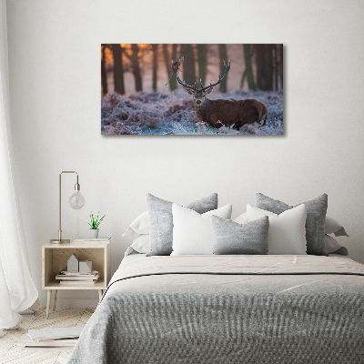 Acrylic wall art Deer about the east