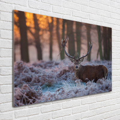 Acrylic wall art Deer about the east