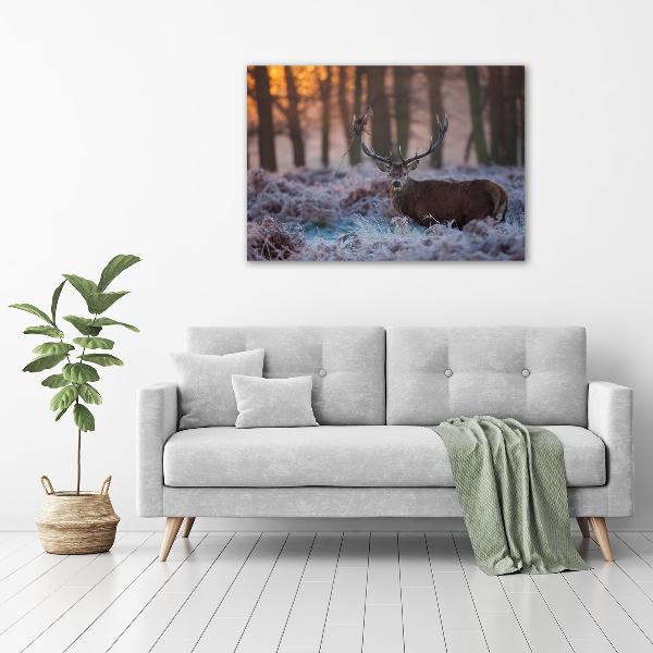 Acrylic wall art Deer about the east