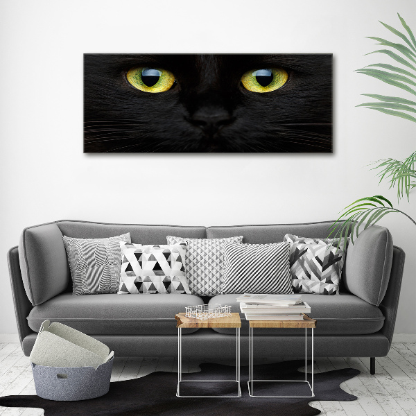 Print on acrylic Cat's eyes