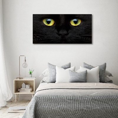 Print on acrylic Cat's eyes