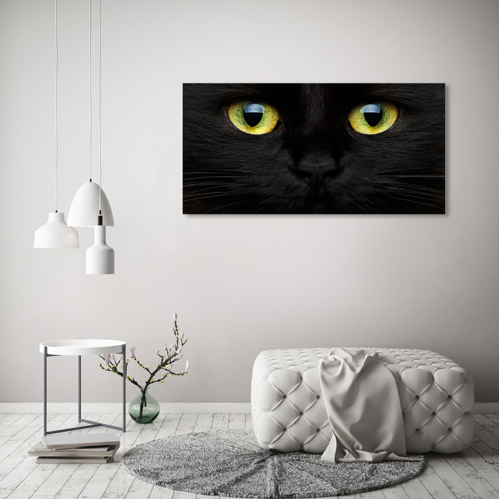 Print on acrylic Cat's eyes