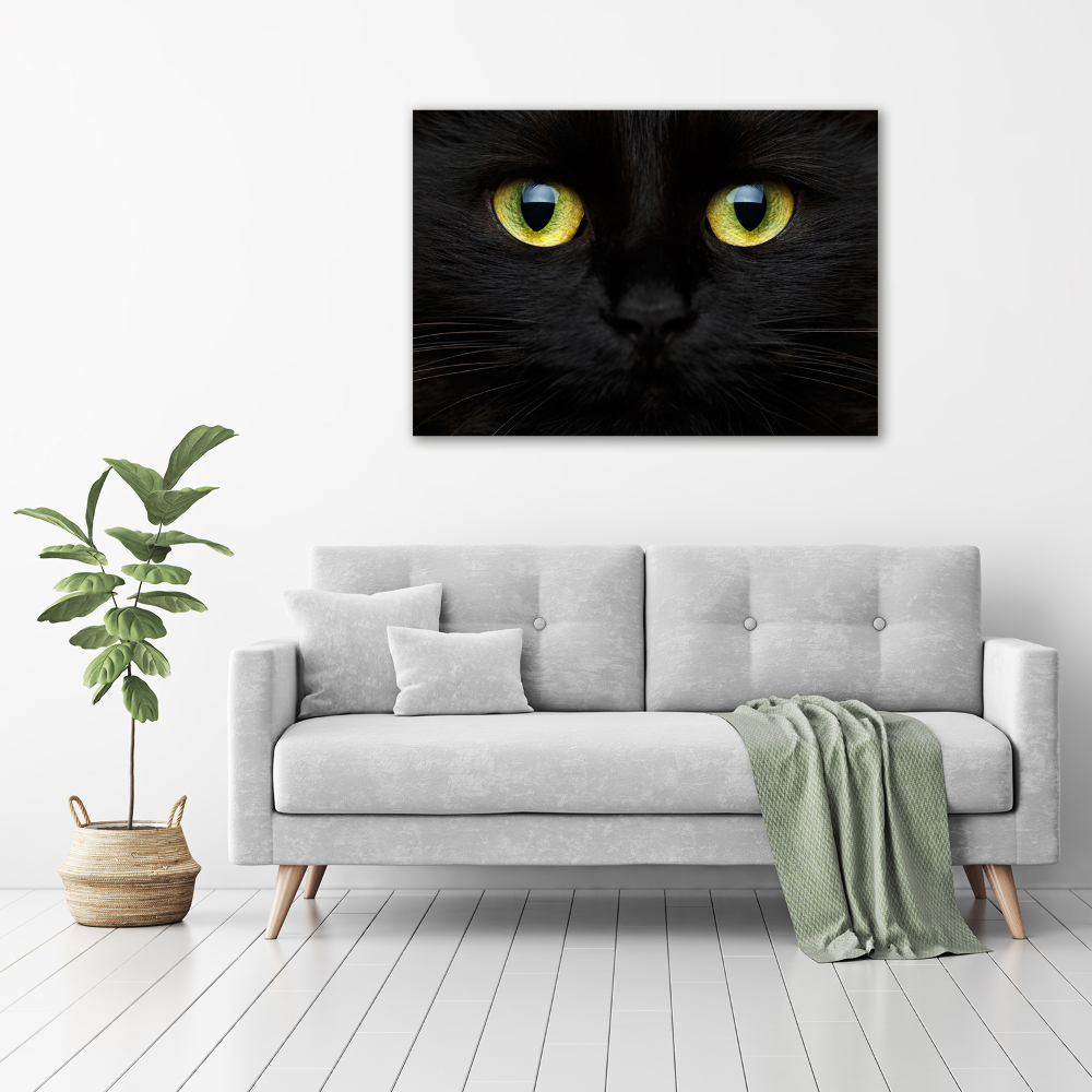 Print on acrylic Cat's eyes