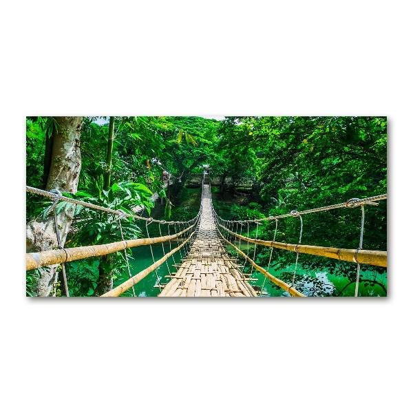 Print on acrylic Tropical forest bridge