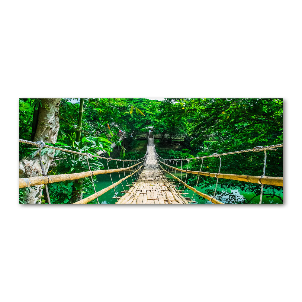 Print on acrylic Tropical forest bridge