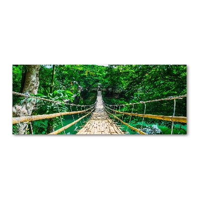 Print on acrylic Tropical forest bridge