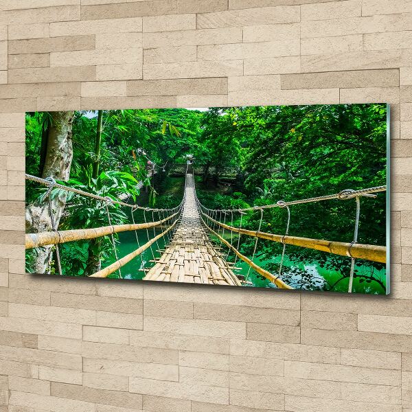 Print on acrylic Tropical forest bridge