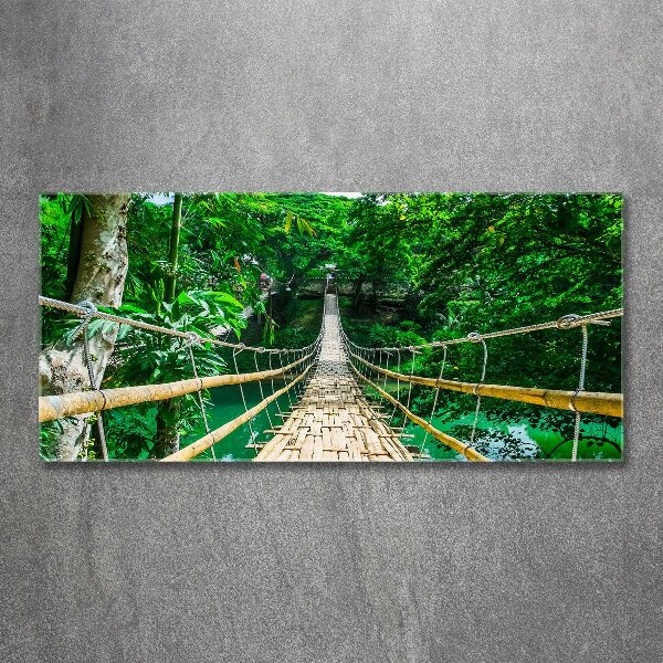 Print on acrylic Tropical forest bridge