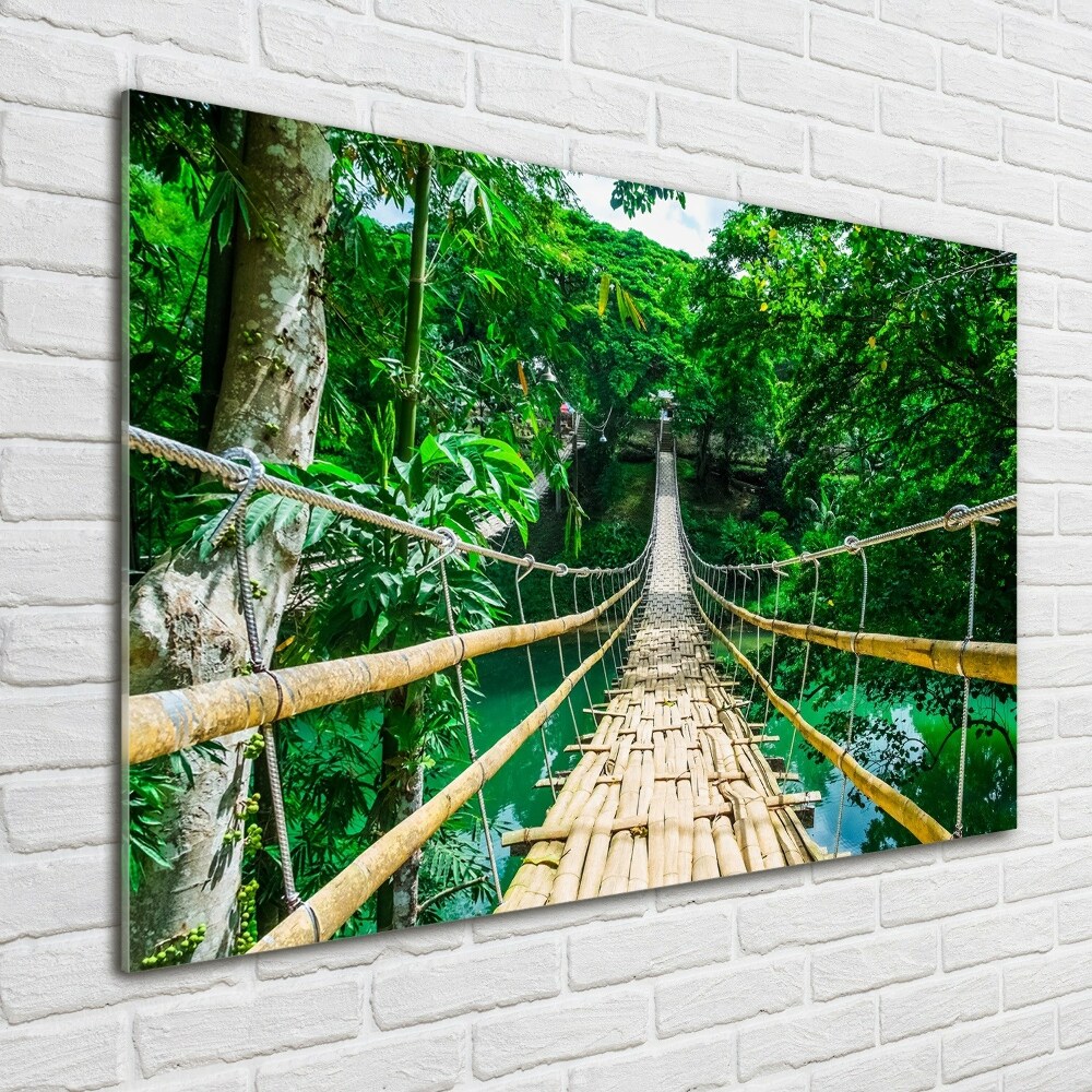 Print on acrylic Tropical forest bridge