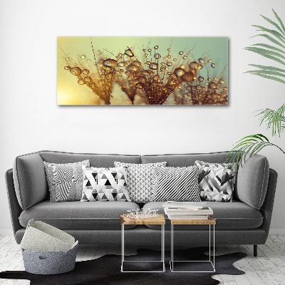 Print on acrylic Dandelion seeds