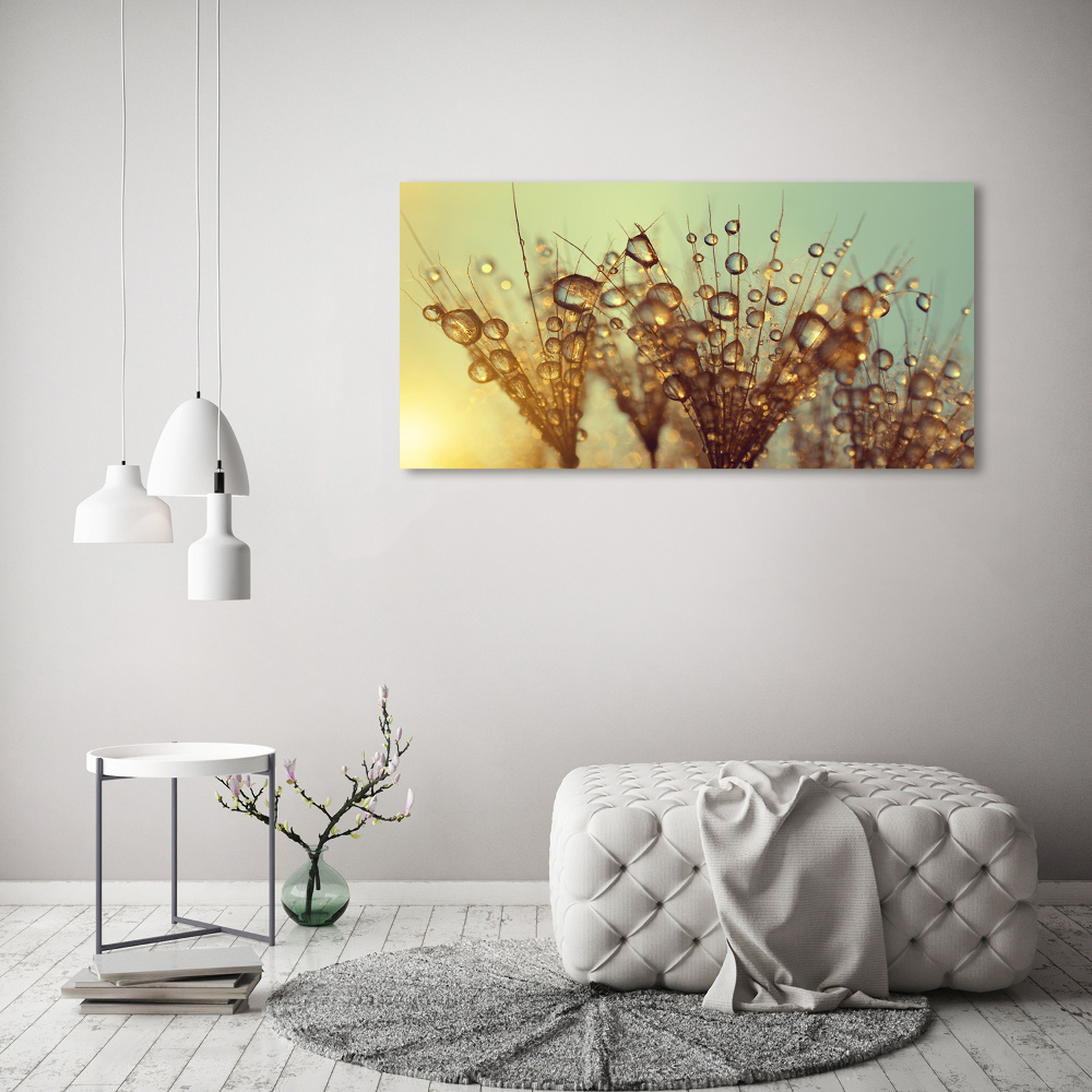 Print on acrylic Dandelion seeds