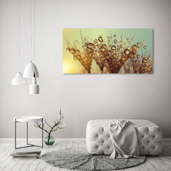 Print on acrylic Dandelion seeds