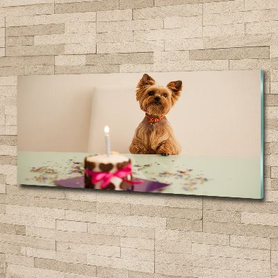 Print on acrylic Dog with a cake