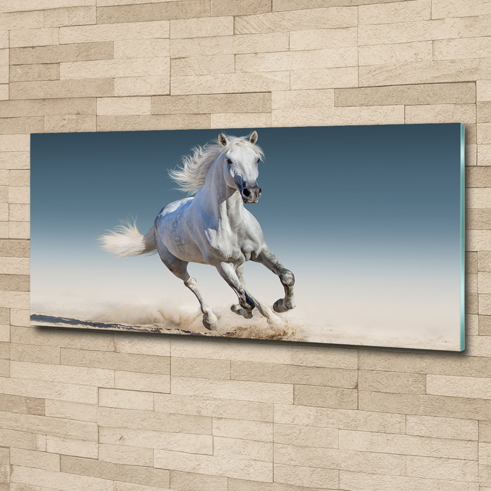 Print on acrylic White horse at a gallop