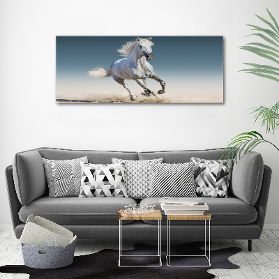 Print on acrylic White horse at a gallop