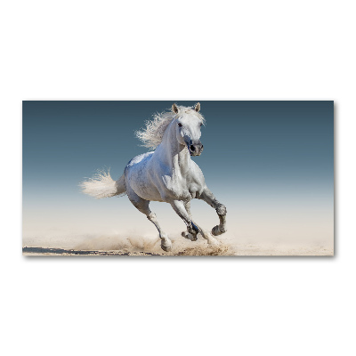 Print on acrylic White horse at a gallop