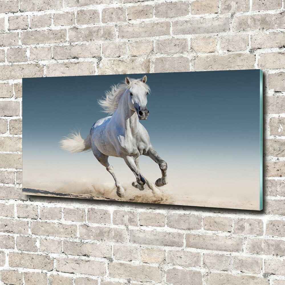 Print on acrylic White horse at a gallop