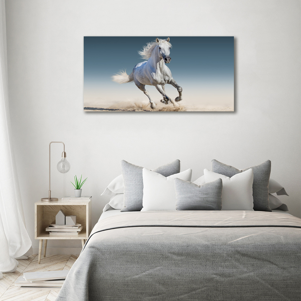 Print on acrylic White horse at a gallop