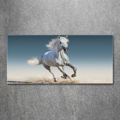 Print on acrylic White horse at a gallop