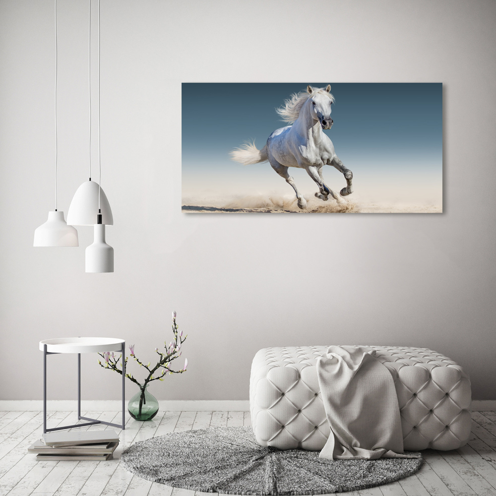 Print on acrylic White horse at a gallop