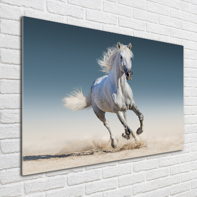 Print on acrylic White horse at a gallop