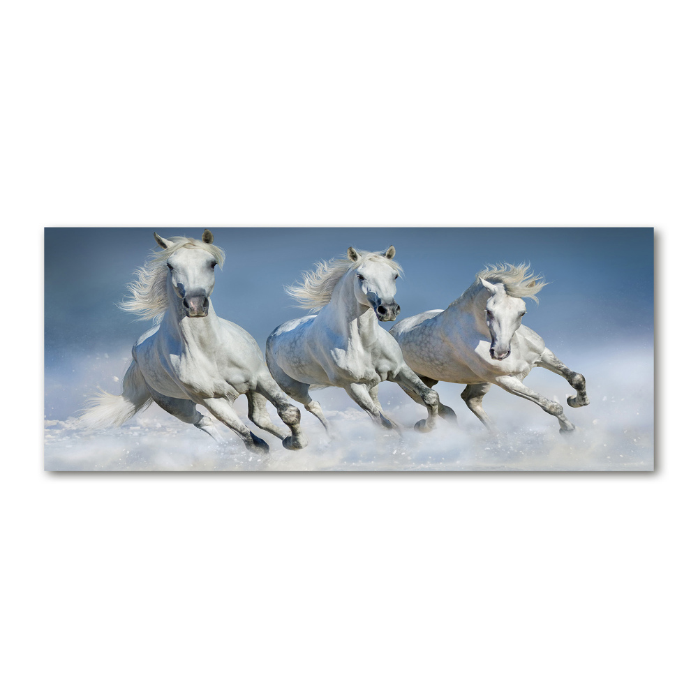 Print on acrylic Horses at gallop