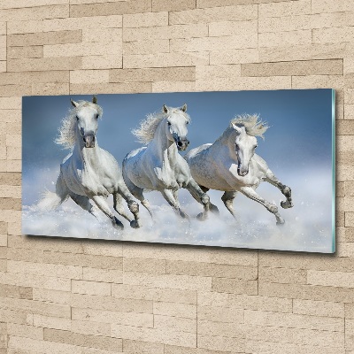 Print on acrylic Horses at gallop