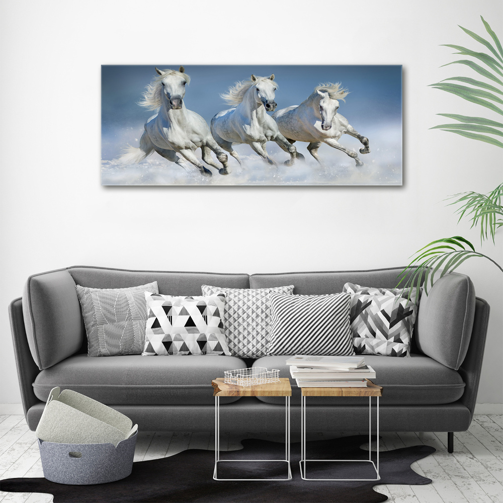 Print on acrylic Horses at gallop