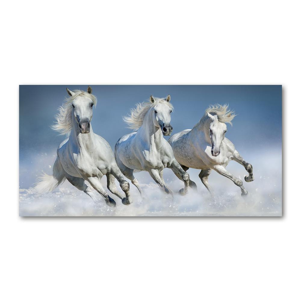 Print on acrylic Horses at gallop