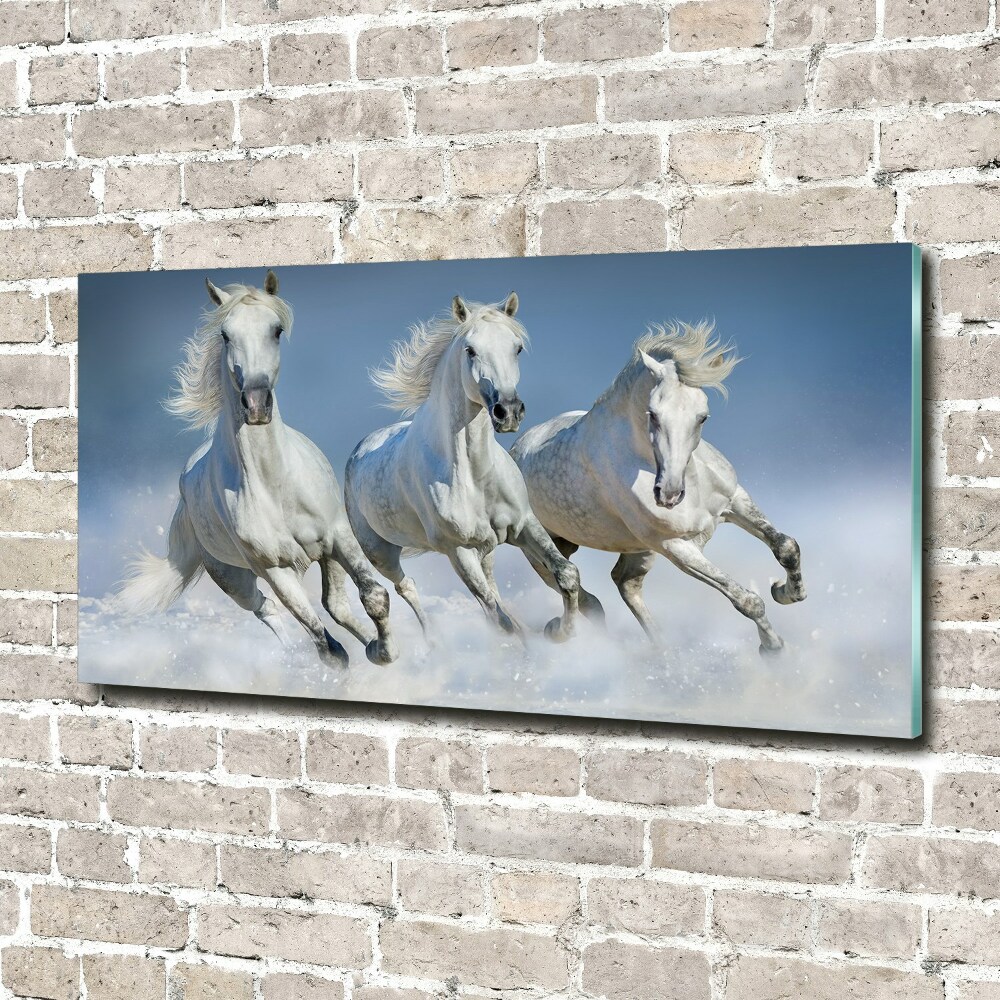 Print on acrylic Horses at gallop