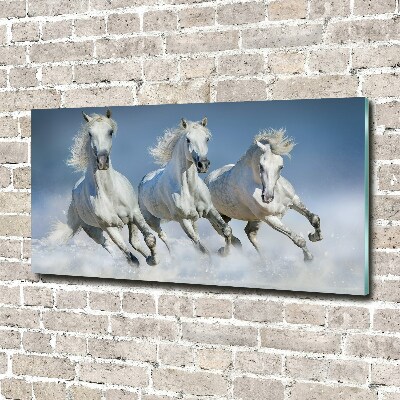 Print on acrylic Horses at gallop