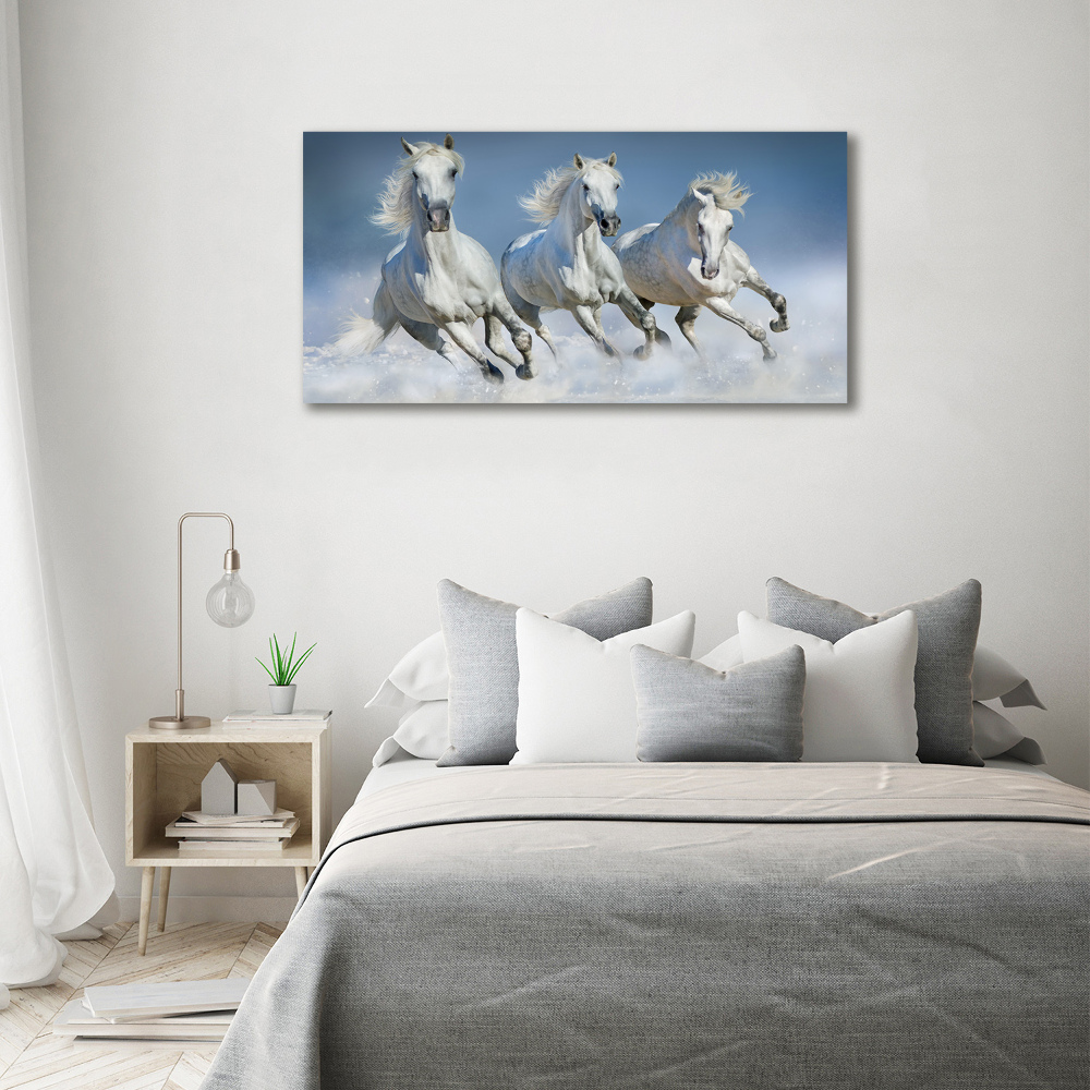 Print on acrylic Horses at gallop