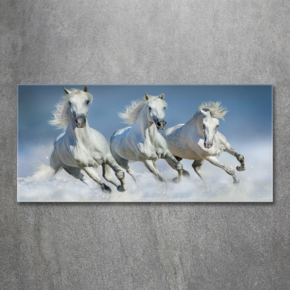 Print on acrylic Horses at gallop