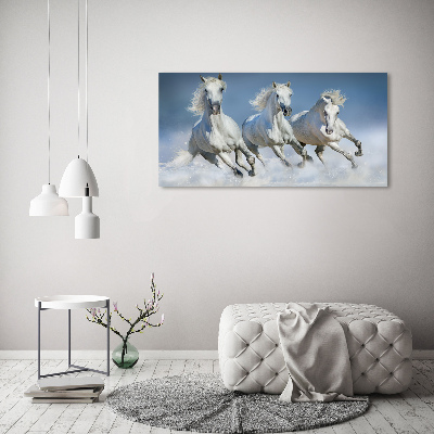 Print on acrylic Horses at gallop