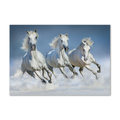 Print on acrylic Horses at gallop